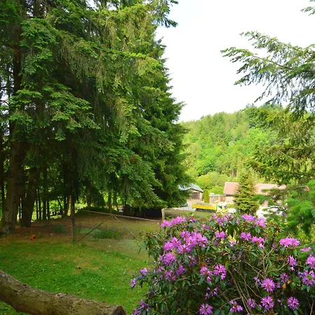 Lively With Garden, Barbecue, Garden Furniture 3* Houffalize
